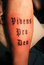 kojos vibens PRO DEO raidės tatuiruotė