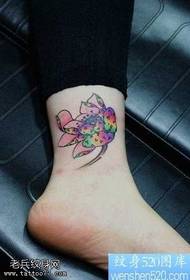 Modello di tatuaggio sanscrito di colore delle gambe