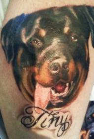 modello di tatuaggio lettera avatar dipinto di Rottweiler