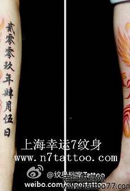 brazo guapo color tótem fénix tatuaje patrón