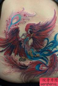 женски струк доброг изгледа узорак тетоваже феникса у боји