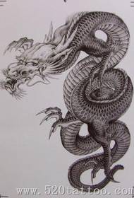 un bo dragón de xalón apreciación do patrón do tatuaje