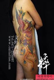 kecantikan pinggang pola tato phoenix indah dan indah