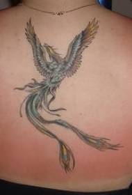 kvinnelig ryggfarge fantasy tatovering Phoenix