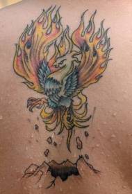 imatge del tatuatge del color de l'esquena fènix