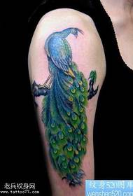 umbala we-arm color phoenix tattoo iphethini