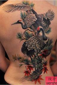 beauty back a white crane crane tattoo pattern