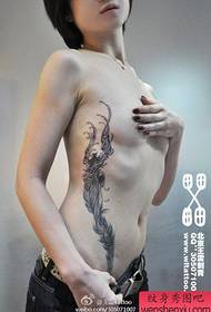beauty belly to rib phoenix and feather Tattoo pattern