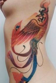 момичета странична талия боядисани акварелни скица творчески доминиращи деликатни снимки на татуировка феникс