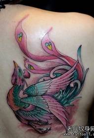 女生肩背精美流行的彩色凤凰纹身图案