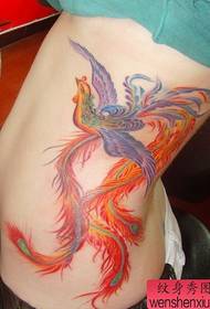 skaistumkopšanas puse jostasvietā izskatīgs feniksa tetovējuma raksts