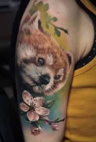 Un gruppo di schizzi ad acquerello a zampe grandi di tatuaggi a zampe grandi