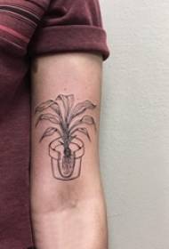 boys arms on black line sketch literary potted tattoo pictures