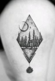 stile tatuaggio nero grigio un insieme di modelli di tatuaggio di animali e piante stile tatuaggio nero e grigio