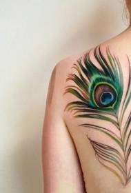 3D пердуви тетоважа мека боја креативна пердув шема на тетоважа