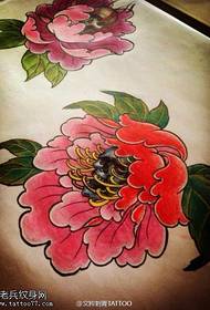 боја личност национални цвет божур тетоважа рукопис слика