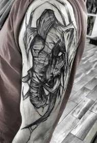 Inez Janiak La grafica del tatuaggio di Inez Zyniak