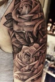 3d éagsúlacht tattoo réalaíoch liath liath Teicníc prátaí tattoo 3d patrún tattoo réalaíoch