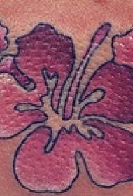 addome di culore simplice di mudellu di tatuaggi di ibisco