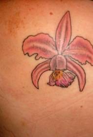 imaxe de tatuaxe rosa lirio de cor