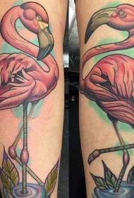 modello di tatuaggio fenicottero bellissimo braccio colorato