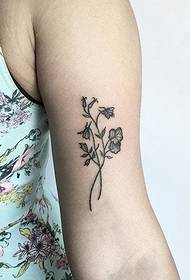 një shumëllojshmëri e tatuazheve të hollë me shije të zezë me model të vogël nga Kate Huali
