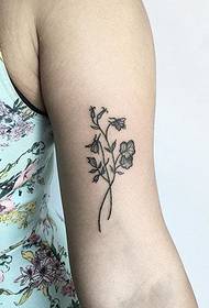 una varietà di squisiti tatuaggi di piccole dimensioni con foratura nera di Kate Huali