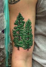 modello di tatuaggio di pino brillante di colore del braccio