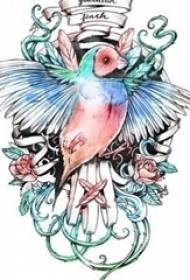 vẽ màu nước phác thảo sáng tạo văn học chim đẹp bản thảo