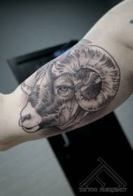 boom Patrón de tatuaxe de cráneo de cabra negra en estilo gravado