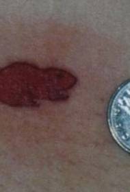 paže jednoduchý malý červený bobr tetování obrázek