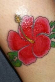llun tatŵ hibiscus coch lliw coes