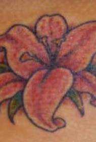 hombro femenino pequeño lirio rosa tatuaje foto