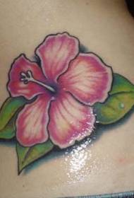 vidukļa krāsa reālistiski rozā hibiska tetovējuma raksts
