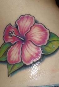 dath waist patrún tattoo hibiscus bándearg réalaíoch