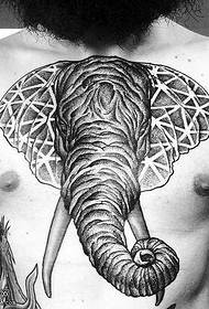 පපුවේ කළු අළු අලි පච්ච රටාව