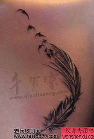 elegante modello di tatuaggio uccello piuma di bell'aspetto