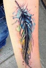 Feather Tattoo -12 نمط الوشم ريشة الفني مصممة بشكل فريد