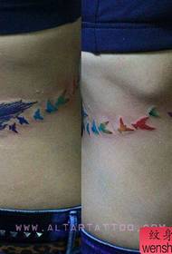 dhexda dhinaca quruxda badan ee quruxda badan ee quruxda leh Feather iyo qaabka tattoo shimbiraha