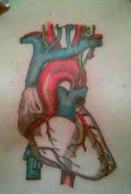 Umbala we-Chest color bio inhliziyo tattoo