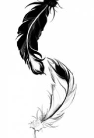 Manoscritto tatuaggio grigio nero abbozzo spinoso abilità creativo classico letterario bella piuma yin e yang