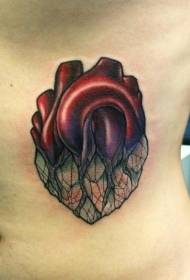Modello di tatuaggio del cuore realistico di colore dell'addome