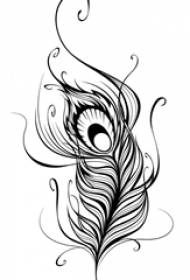 黑白素描創意美麗唯美羽毛紋身手稿