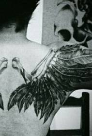 紋身翅膀圖案10各種風格的羽毛翅膀紋身設計
