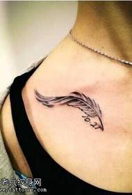 Pluma pectus forma Threicae