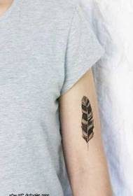 malgranda plumo tatuaje ŝablono sur la brako