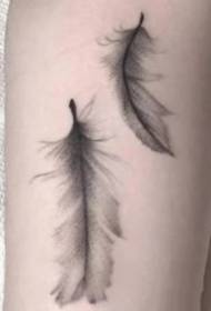 Hiel lyts en fris set fan njoggen elegante foto's fan feather tattoo