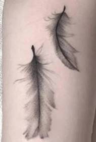 Set molto piccolo e fresco di nove eleganti immagini di tatuaggi di piume