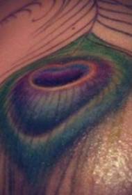 Larawan sa Feather Tattoo 10 Nice nga kolor sa Peacock nga kolor sa Tattoo nga litrato