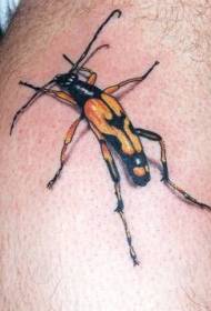 schwaarz a giel Insekt realistescht Tattoo Muster